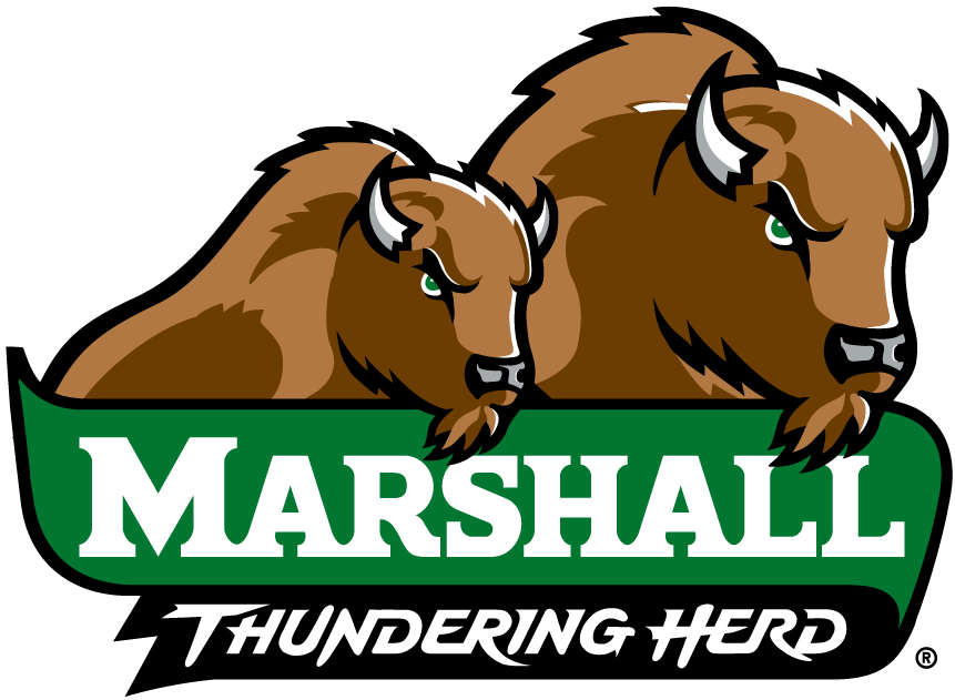 Marshall Thundering Herd 2001-Pres Alternate Logo v4 diy DTF decal sticker